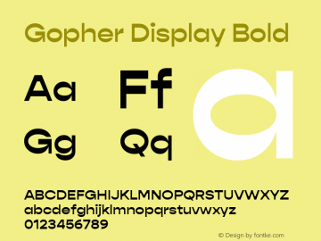 Gopher Display Bold Version 1.000;PS 001.000;hotconv 1.0.88;makeotf.lib2.5.64775;YWFTv17 Font Sample