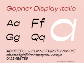 GopherDisplay-Italic Version 1.000;PS 001.000;hotconv 1.0.88;makeotf.lib2.5.64775;YWFTv17 Font Sample