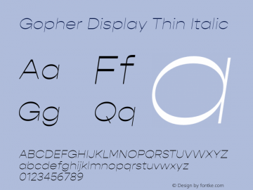 GopherDisplay-ThinItalic Version 1.000;PS 001.000;hotconv 1.0.88;makeotf.lib2.5.64775;YWFTv17 Font Sample