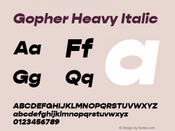 Gopher-HeavyItalic Version 1.000;PS 001.000;hotconv 1.0.88;makeotf.lib2.5.64775;YWFTv17 Font Sample