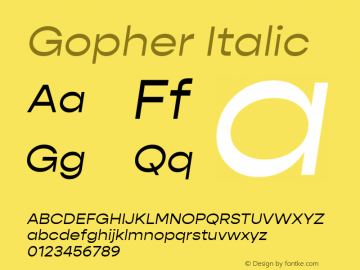 Gopher Italic Version 1.000;PS 001.000;hotconv 1.0.88;makeotf.lib2.5.64775;YWFTv17 Font Sample