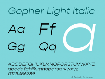 Gopher Light Italic Version 1.000;PS 001.000;hotconv 1.0.88;makeotf.lib2.5.64775;YWFTv17 Font Sample