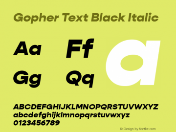 Gopher Text Black Italic Version 1.000;PS 001.000;hotconv 1.0.88;makeotf.lib2.5.64775;YWFTv17图片样张