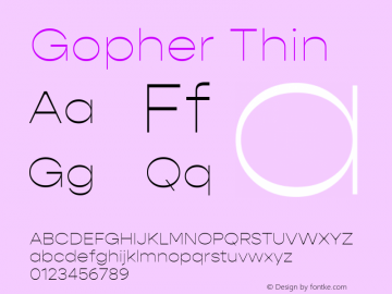 Gopher Thin Version 1.000;PS 001.000;hotconv 1.0.88;makeotf.lib2.5.64775;YWFTv17 Font Sample