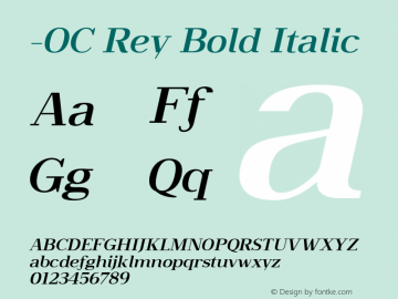 -OC Rey Bold Italic Version 1.000;PS 001.000;hotconv 1.0.88;makeotf.lib2.5.64775 Font Sample