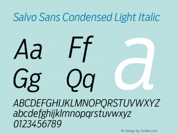 SalvoSans-CondensedLightItalic Version 1.000图片样张