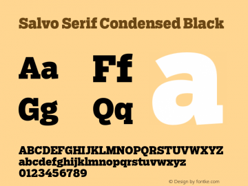SalvoSerif-CondensedBlack Version 1.000图片样张