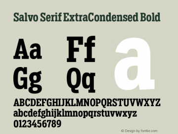 SalvoSerif-ExtraCondensedBold Version 1.000图片样张