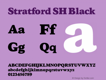 StratfordSH-Black Version 3.010 2014图片样张