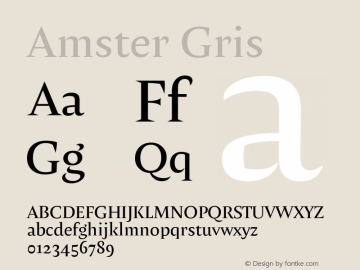 Amster-Gris Version 1.000;PS 001.000;hotconv 1.0.70;makeotf.lib2.5.58329 Font Sample