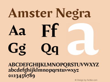 Amster-Negra Version 1.000;PS 001.000;hotconv 1.0.70;makeotf.lib2.5.58329 Font Sample