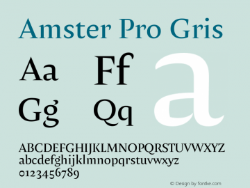 AmsterPro-Gris Version 1.000;PS 001.000;hotconv 1.0.70;makeotf.lib2.5.58329 Font Sample
