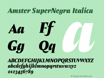 Amster-SuperNegraItalica Version 1.000;PS 001.000;hotconv 1.0.70;makeotf.lib2.5.58329 Font Sample