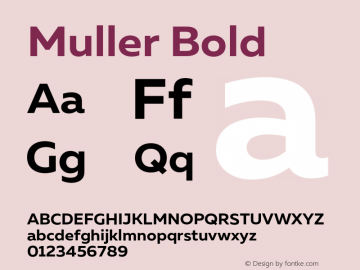 Muller Bold Version 1.000;PS 001.000;hotconv 1.0.88;makeotf.lib2.5.64775 Font Sample