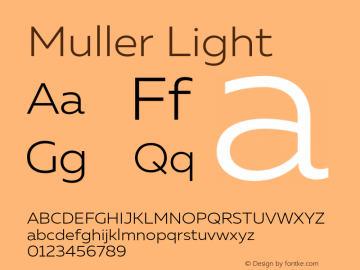 Muller Light Version 1.000;PS 001.000;hotconv 1.0.88;makeotf.lib2.5.64775 Font Sample