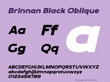 Brinnan-BlackOblique Version 001.000图片样张