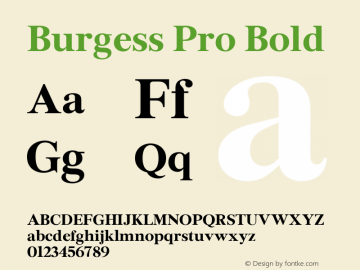 Burgess Pro Bold Version 2.001 Font Sample