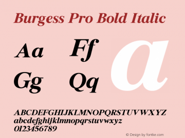 Burgess Pro Bold Italic Version 2.001 Font Sample