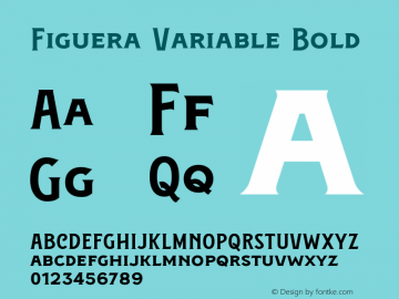 Figuera Variable Bold Version 1.000图片样张