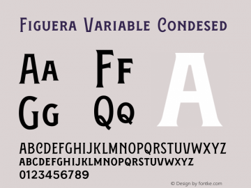 Figuera Variable Condesed Version 1.000;PS 001.000;hotconv 1.0.88;makeotf.lib2.5.64775图片样张