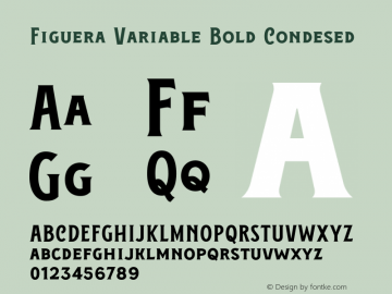 Figuera Variable Bold Condesed Version 1.000;PS 001.000;hotconv 1.0.88;makeotf.lib2.5.64775图片样张