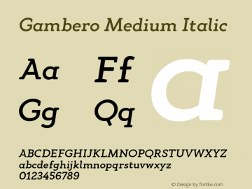 Gambero-MediumItalic Version 1.000;PS 001.000;hotconv 1.0.88;makeotf.lib2.5.64775 Font Sample