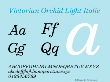 VictorianOrchid-LightItalic Version 1.000;PS 001.000;hotconv 1.0.88;makeotf.lib2.5.64775 Font Sample