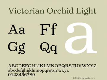 VictorianOrchid-Light Version 1.000;PS 001.000;hotconv 1.0.88;makeotf.lib2.5.64775 Font Sample
