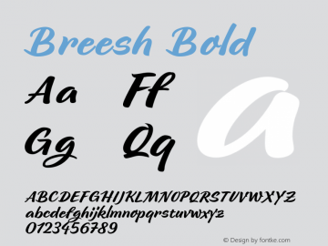 Breesh-Bold 001.001 Font Sample