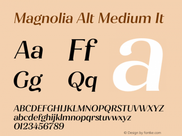Magnolia Alt Medium It Version 1.001;PS 001.001;hotconv 1.0.88;makeotf.lib2.5.64775 Font Sample