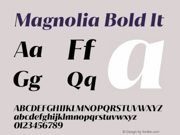 Magnolia Bold It Version 1.001;PS 001.001;hotconv 1.0.88;makeotf.lib2.5.64775 Font Sample