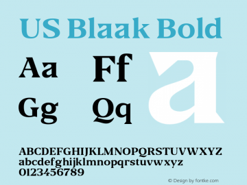 USBlaak-Bold Version 1.001 Font Sample