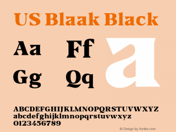 USBlaak-Black Version 1.001 Font Sample