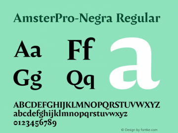 AmsterPro-Negra Version 1.000;PS 001.000;hotconv 1.0.70;makeotf.lib2.5.58329;com.myfonts.easy.pampatype.amster.pro-negra.wfkit2.version.4mQF图片样张