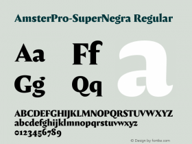 AmsterPro-SuperNegra Version 1.000;PS 001.000;hotconv 1.0.70;makeotf.lib2.5.58329;com.myfonts.easy.pampatype.amster.pro-super-negra.wfkit2.version.4mQH Font Sample