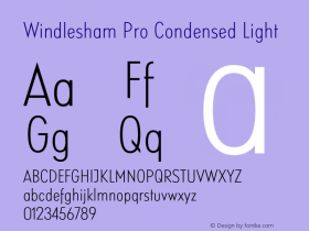 WindleshamPro-CondensedLight Version 1.000;com.myfonts.easy.redrooster.windlesham-pro.cond-light.wfkit2.version.3Ati图片样张