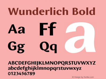 Wunderlich-Bold Version 7.504图片样张