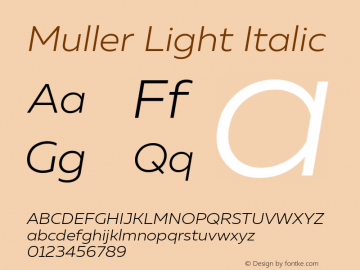 Muller-LightItalic Version 1.0;com.myfonts.easy.font-fabric.muller.light-italic.wfkit2.version.4nu7 Font Sample