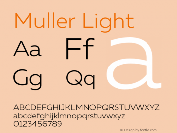 Muller-Light Version 1.0;com.myfonts.easy.font-fabric.muller.light.wfkit2.version.4nu8 Font Sample