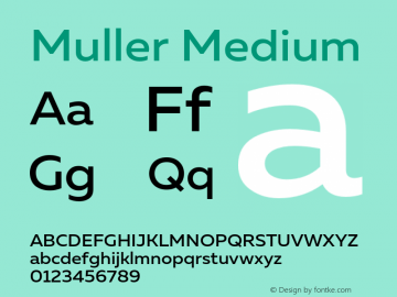 Muller-Medium Version 1.0;com.myfonts.easy.font-fabric.muller.medium.wfkit2.version.4nu6 Font Sample