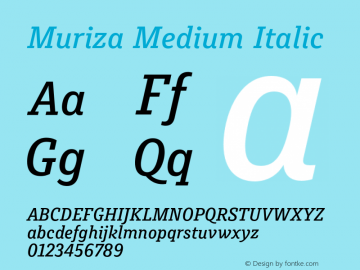 Muriza-MediumItalic Version 2.036;com.myfonts.type-me-fonts.muriza.medium-italic.wfkit2.4cBz Font Sample