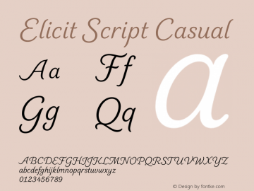 Elicit Script Casual Version 1.00图片样张