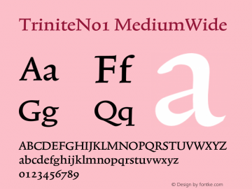 TriniteNo1-MediumWide 001.000 Font Sample