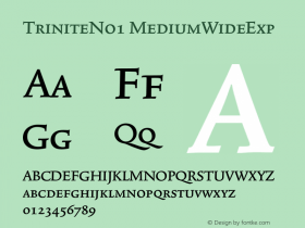 TriniteNo1-MediumWideExp 001.000 Font Sample