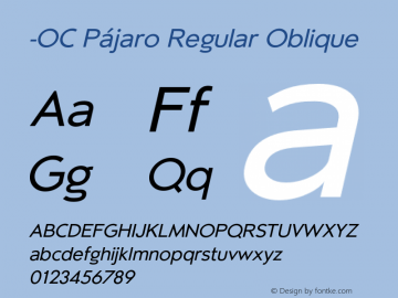 -OC Pajaro Regular Oblique Version 1.000;PS 001.000;hotconv 1.0.88;makeotf.lib2.5.64775 Font Sample