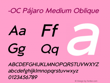 -OC Pajaro Medium Oblique Version 1.000;PS 001.000;hotconv 1.0.88;makeotf.lib2.5.64775 Font Sample