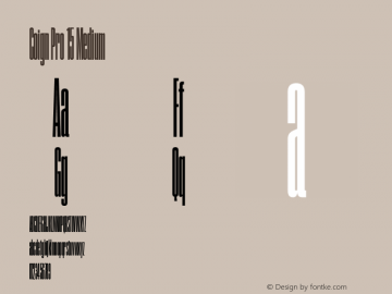 Coign Pro 15 Medium Version 1.001 Font Sample