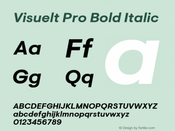 Visuelt Pro Bold Italic Version 3.005 Font Sample