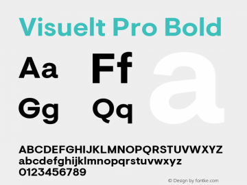 Visuelt Pro Bold Version 3.005图片样张