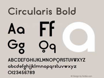 Circularis Bold Version 1.000图片样张